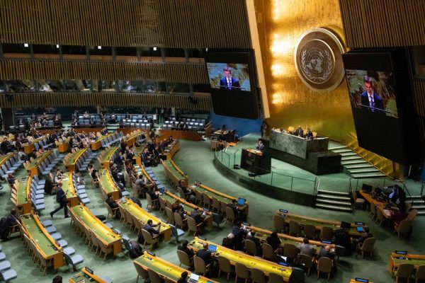 The Spectacle of September 2024: UN’s Summit of the Future Inspires and Challenges” UNs Summit