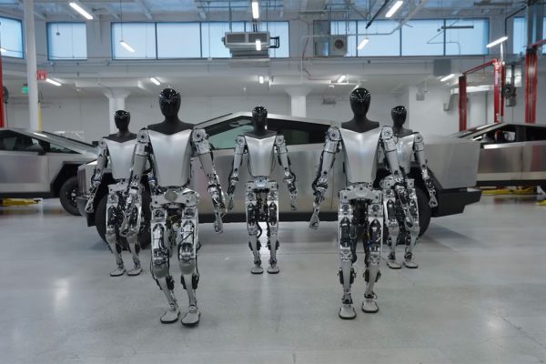 teslabot